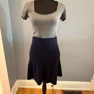 Zara Blue Pleat Skirt